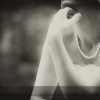 img00009